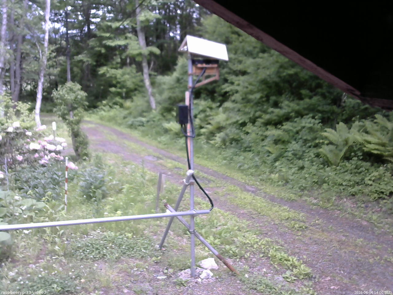 長野県菅平高原 ゆたか山荘 南側 2026/06/04 14:00