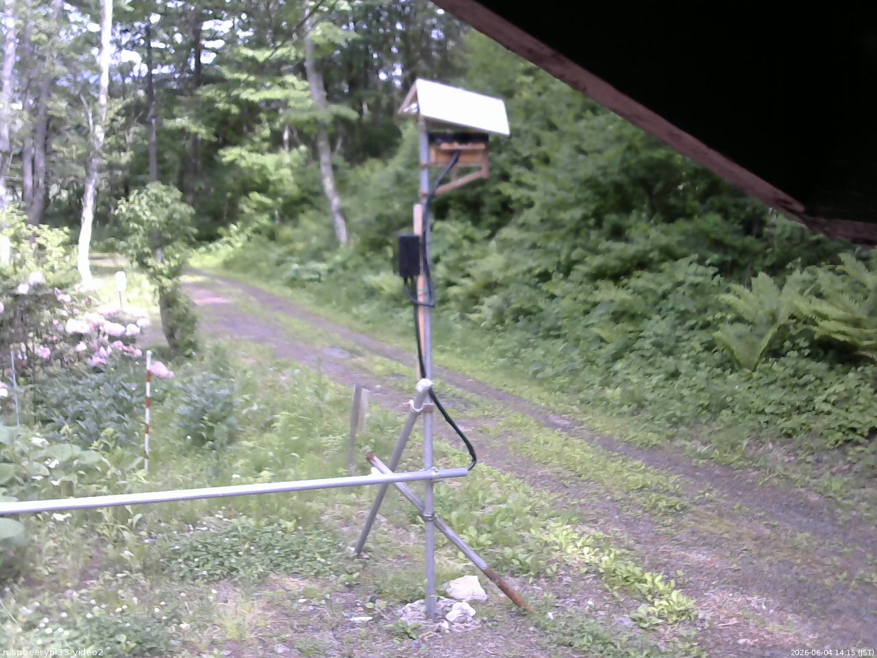 長野県菅平高原 ゆたか山荘 南側 2026/06/04 14:15