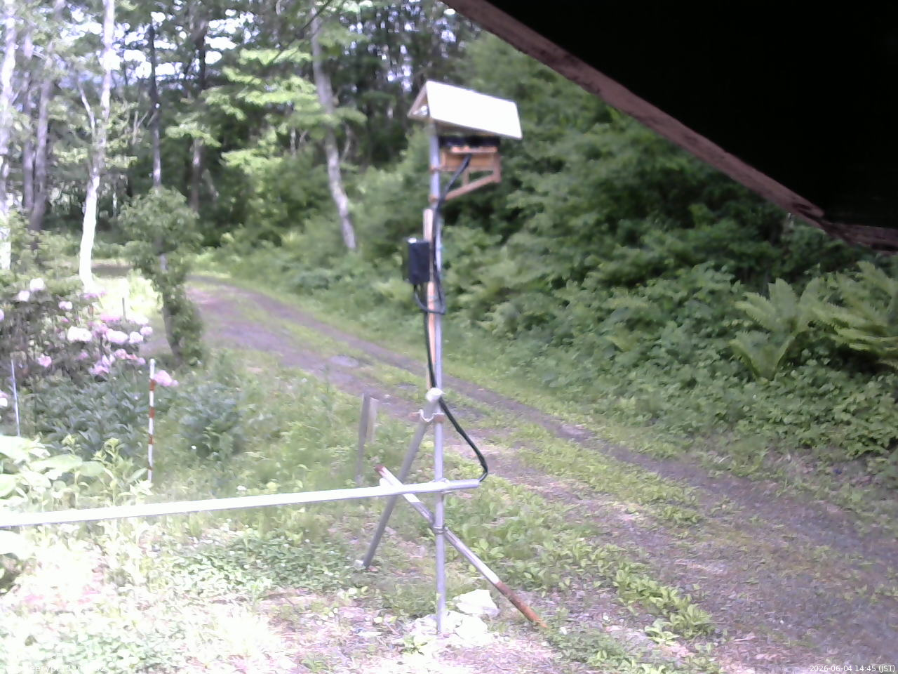 長野県菅平高原 ゆたか山荘 南側 2026/06/04 14:45
