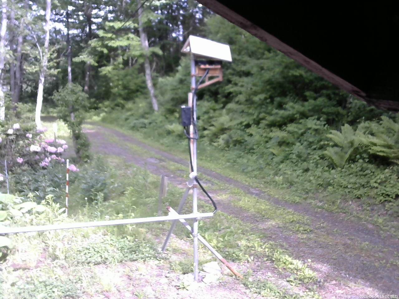 長野県菅平高原 ゆたか山荘 南側 2026/06/04 15:00