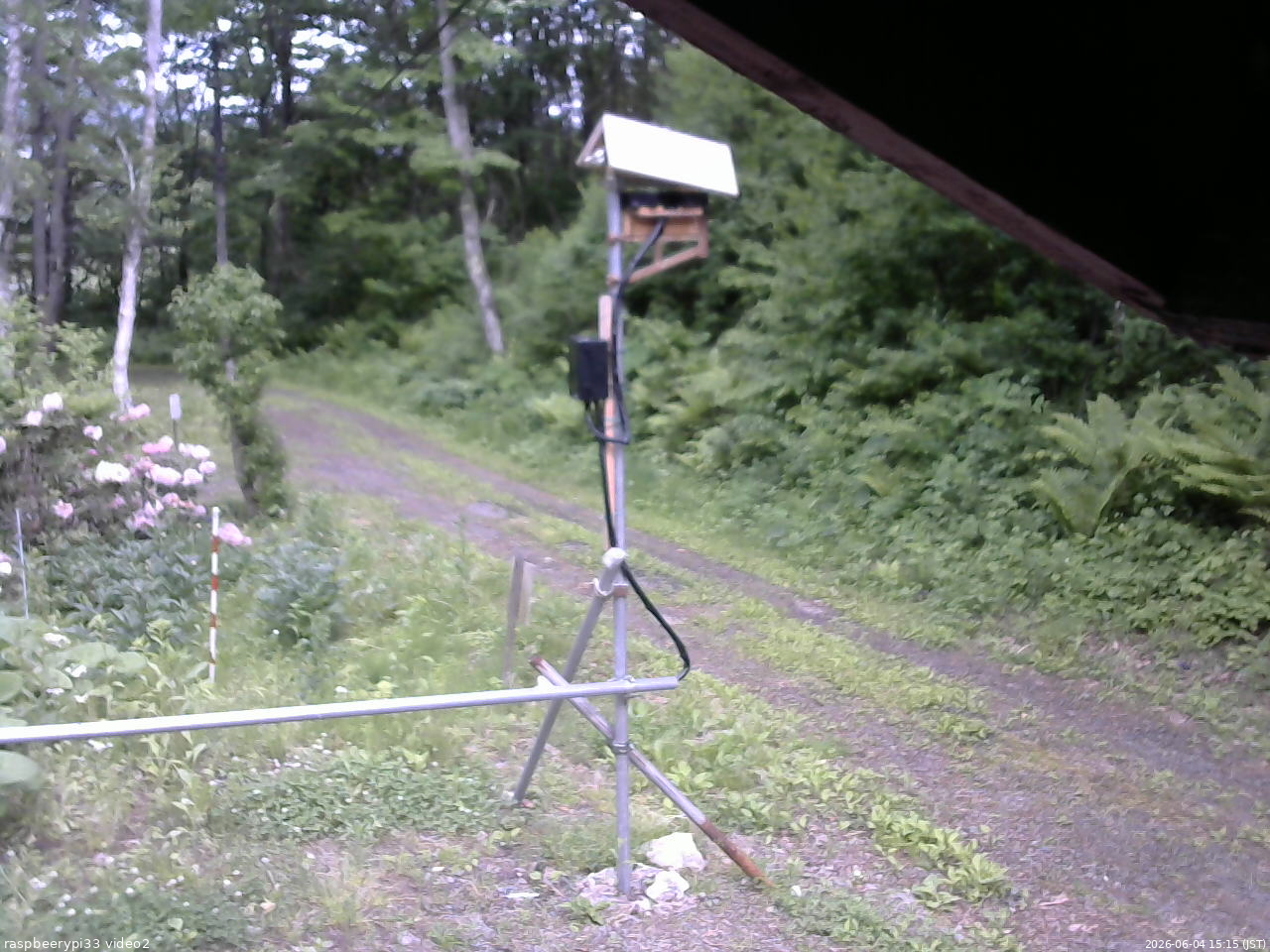長野県菅平高原 ゆたか山荘 南側 2026/06/04 15:15