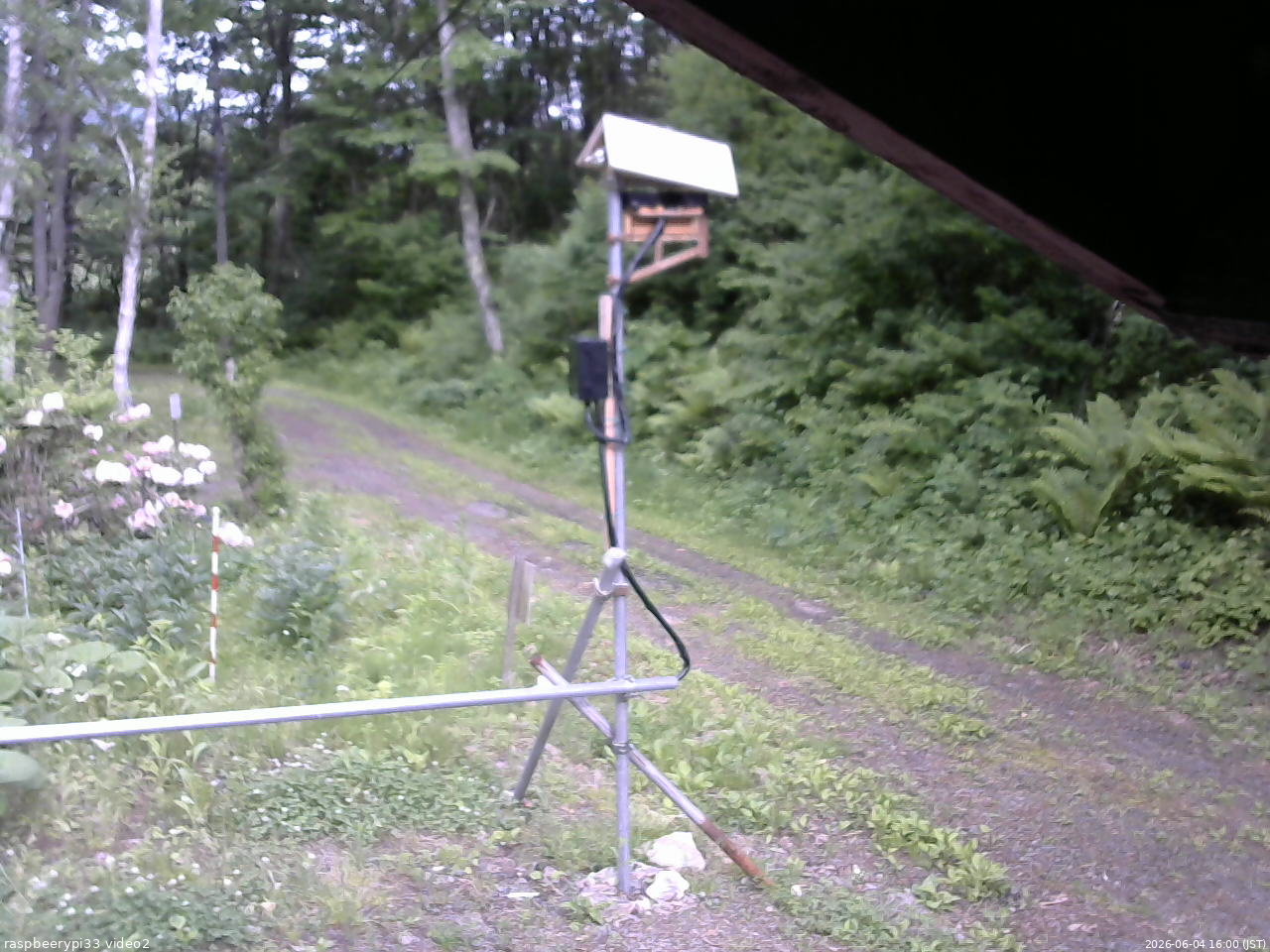 長野県菅平高原 ゆたか山荘 南側 2026/06/04 16:00