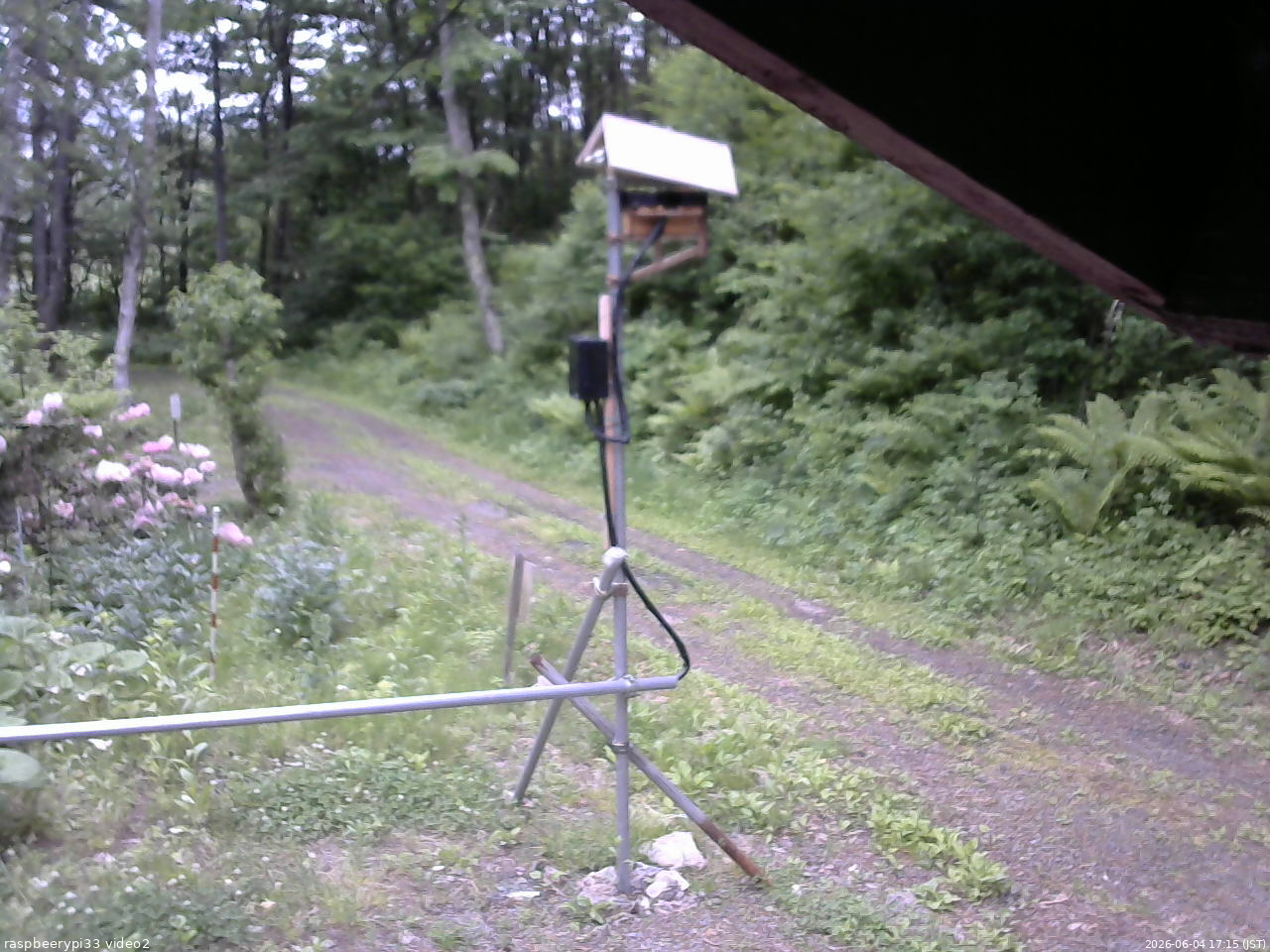 長野県菅平高原 ゆたか山荘 南側 2026/06/04 17:15