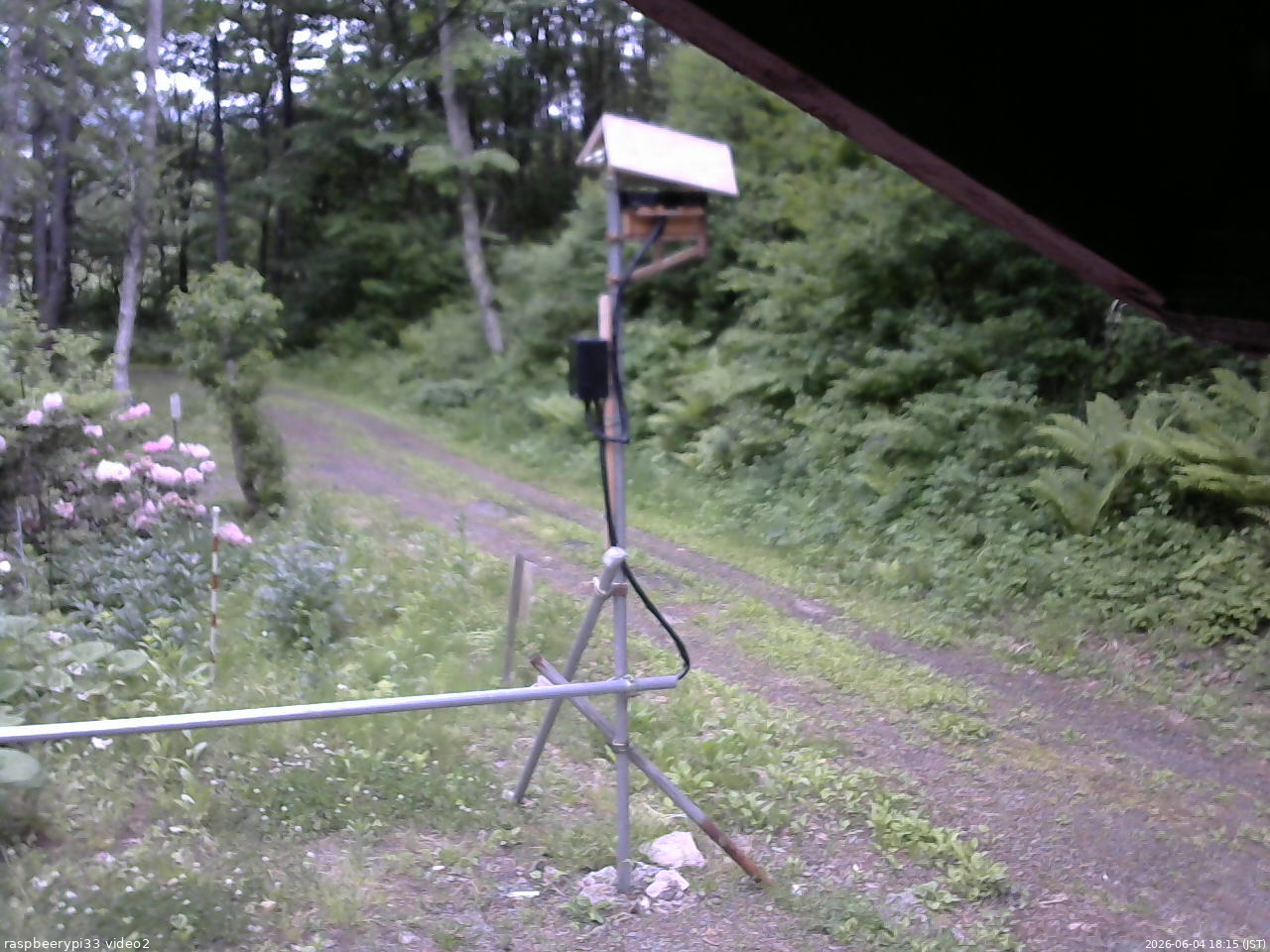 長野県菅平高原 ゆたか山荘 南側 2026/06/04 18:15