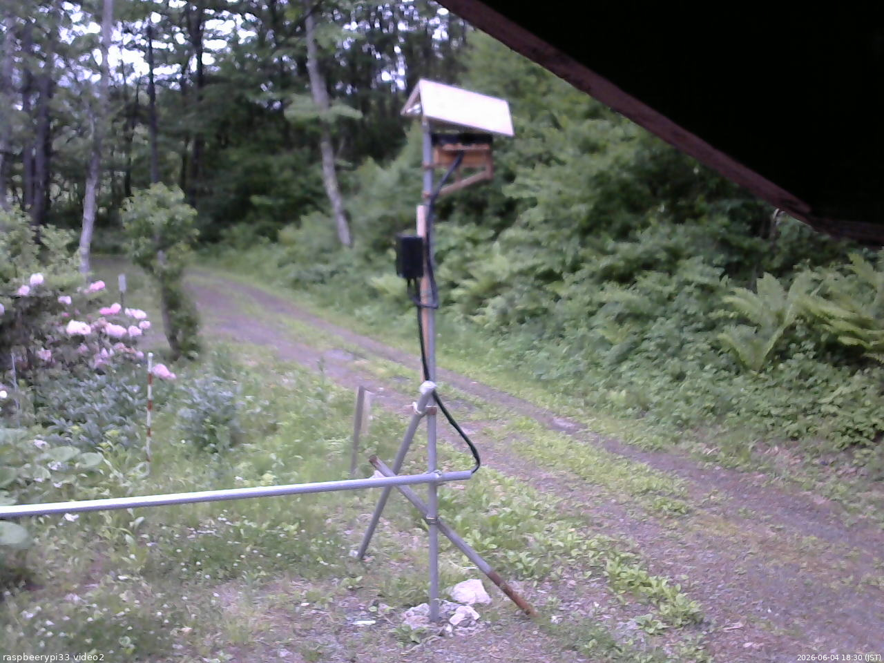 長野県菅平高原 ゆたか山荘 南側 2026/06/04 18:30