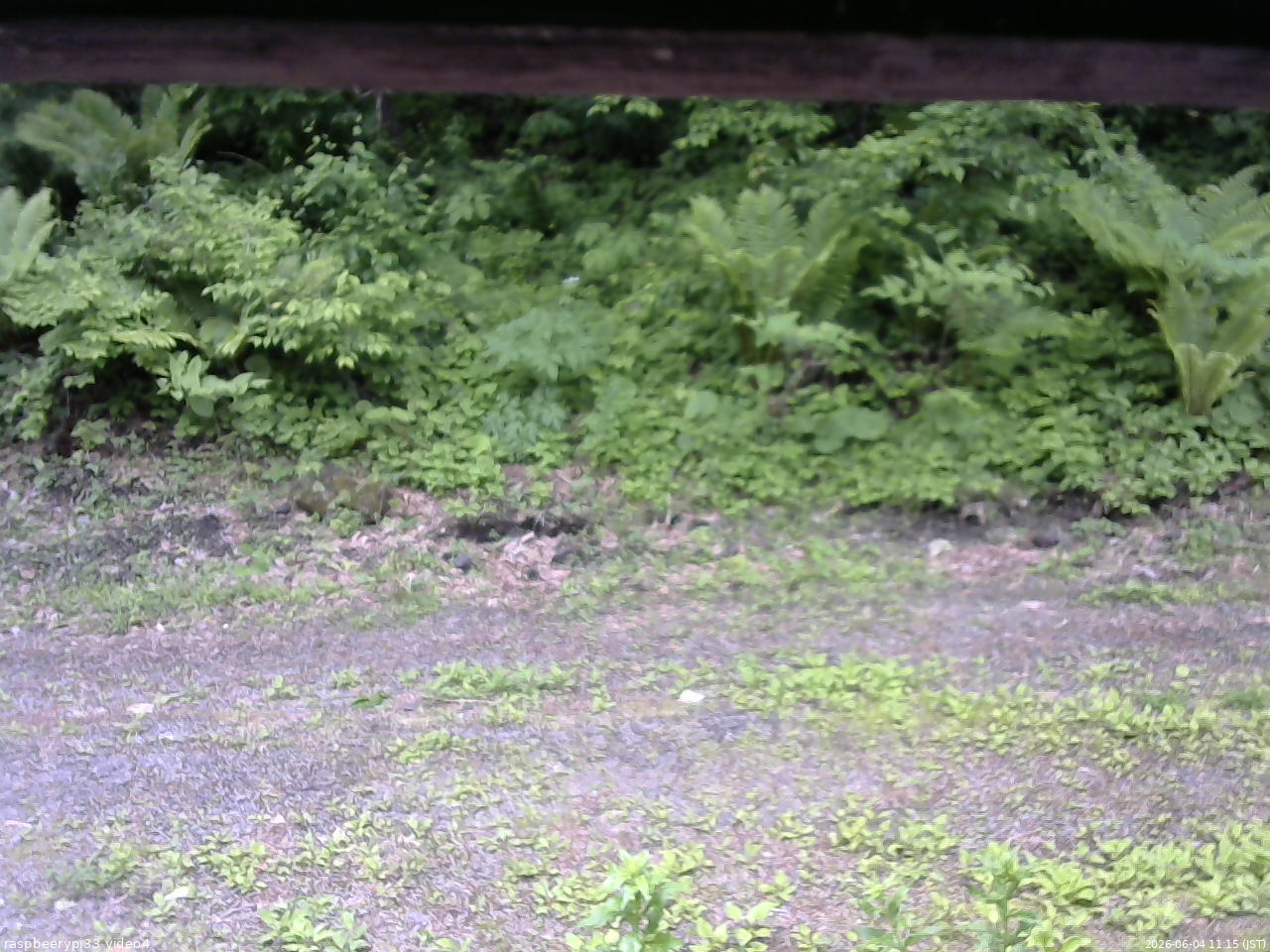 長野県菅平高原 ゆたか山荘 東側(坂下) 2026/06/04 11:15