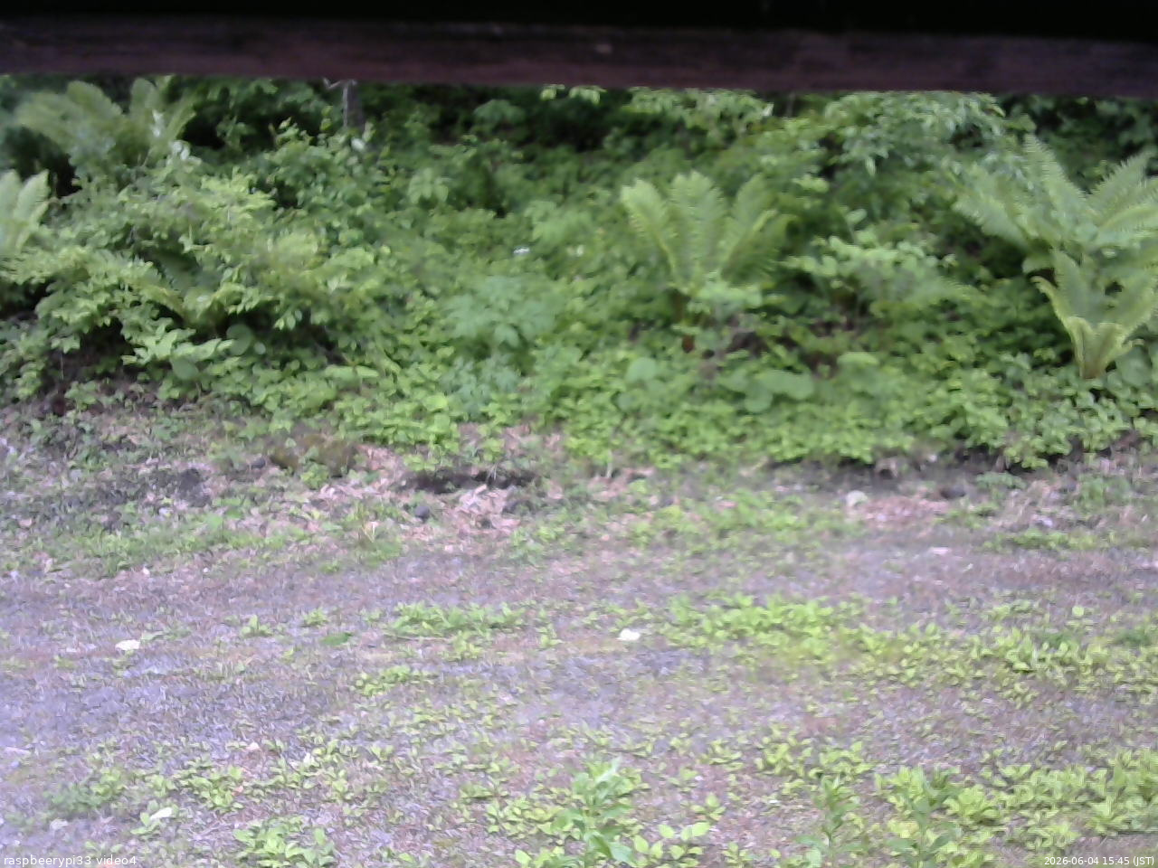 長野県菅平高原 ゆたか山荘 東側(坂下) 2026/06/04 15:45