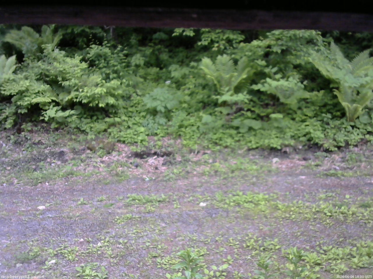 長野県菅平高原 ゆたか山荘 東側(坂下) 2026/06/04 18:00
