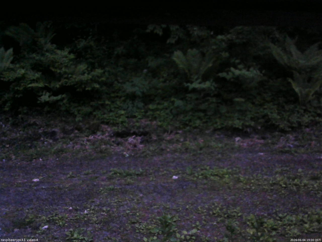 長野県菅平高原 ゆたか山荘 東側(坂下) 2026/06/04 19:00