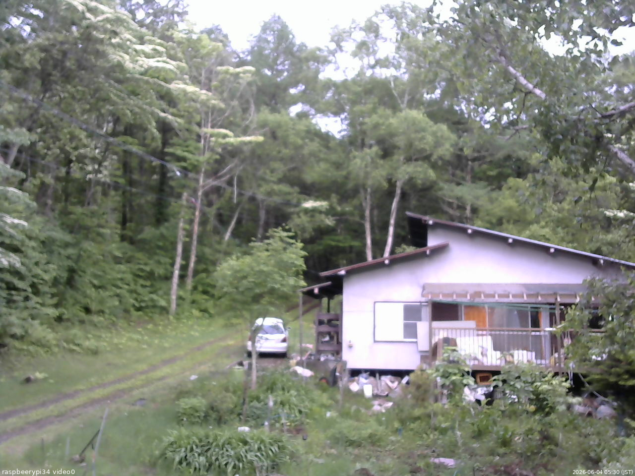 長野県菅平高原 ゆたか山荘 西側(坂上) 2026/06/04 05:30