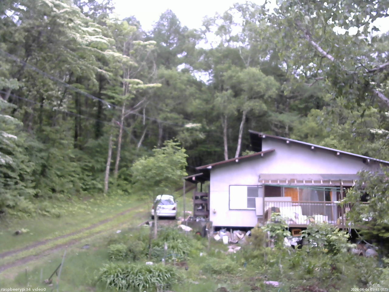 長野県菅平高原 ゆたか山荘 西側(坂上) 2026/06/04 05:45