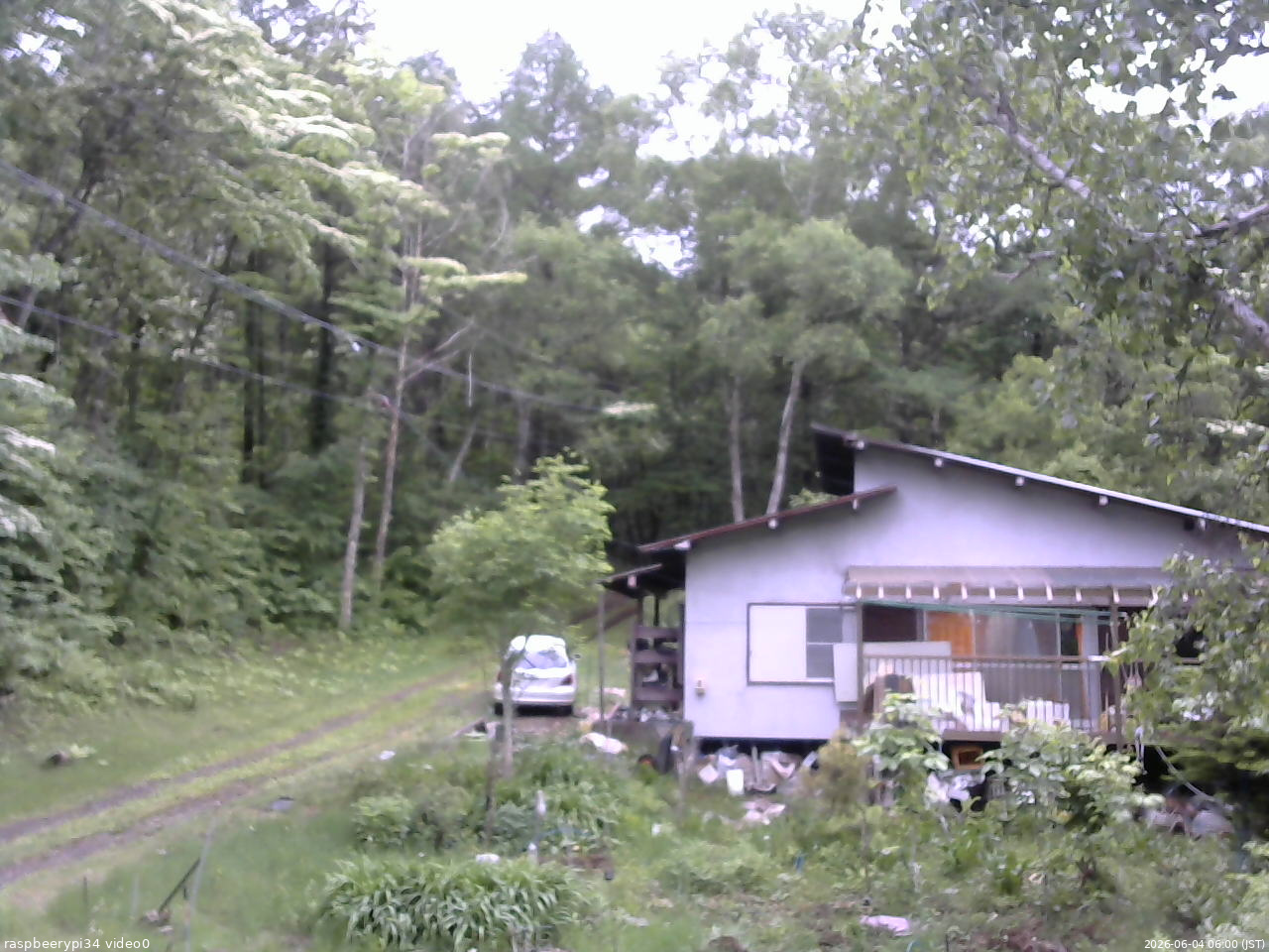 長野県菅平高原 ゆたか山荘 西側(坂上) 2026/06/04 06:00