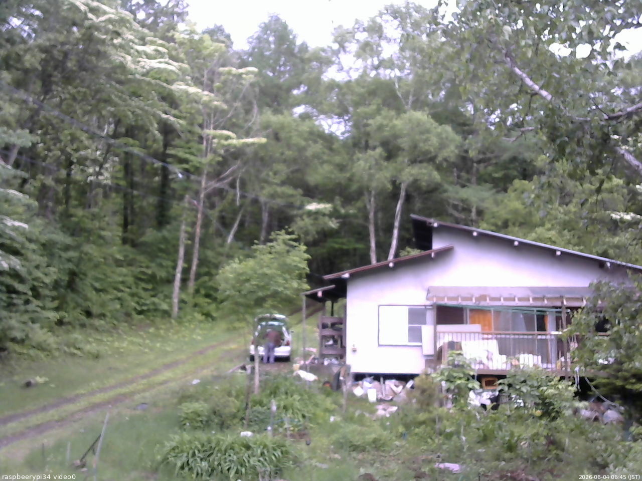 長野県菅平高原 ゆたか山荘 西側(坂上) 2026/06/04 06:45