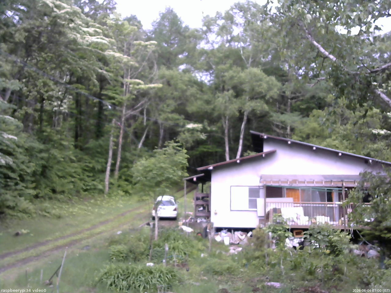 長野県菅平高原 ゆたか山荘 西側(坂上) 2026/06/04 07:00