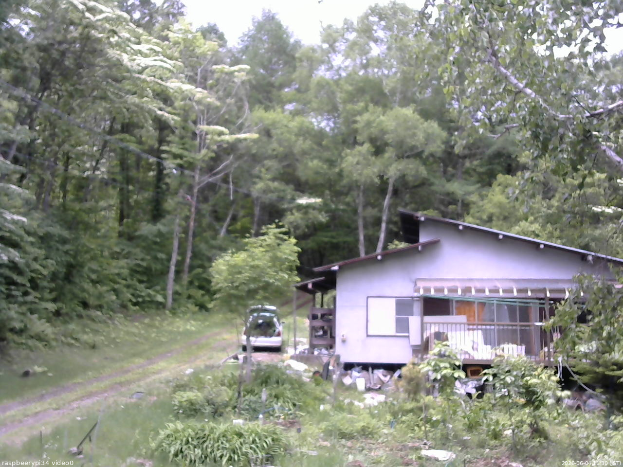 長野県菅平高原 ゆたか山荘 西側(坂上) 2026/06/04 11:30
