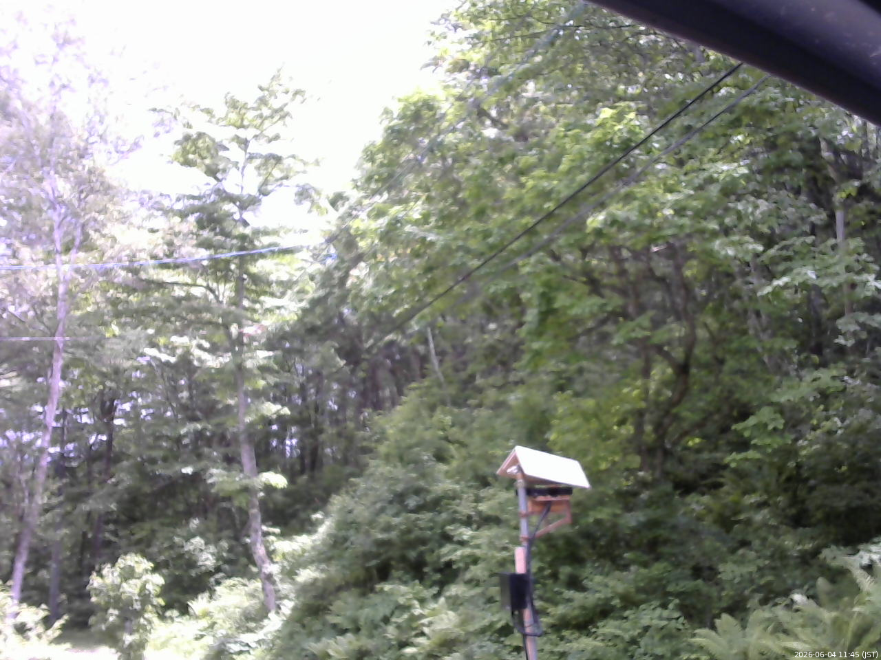 長野県菅平高原 ゆたか山荘 温度計 2026/06/04 11:45
