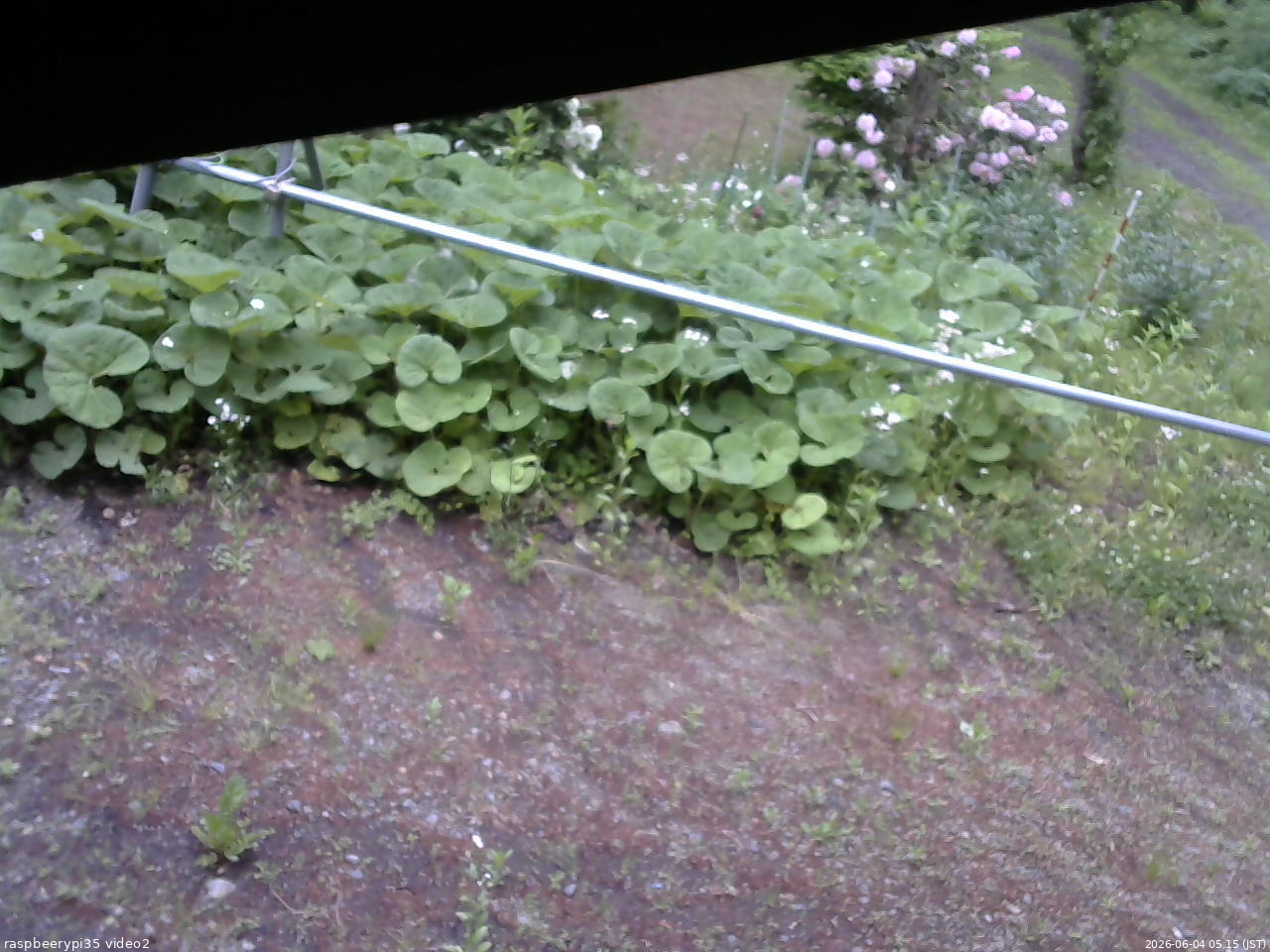 長野県菅平高原 ゆたか山荘 駐車場 2026/06/04 05:15