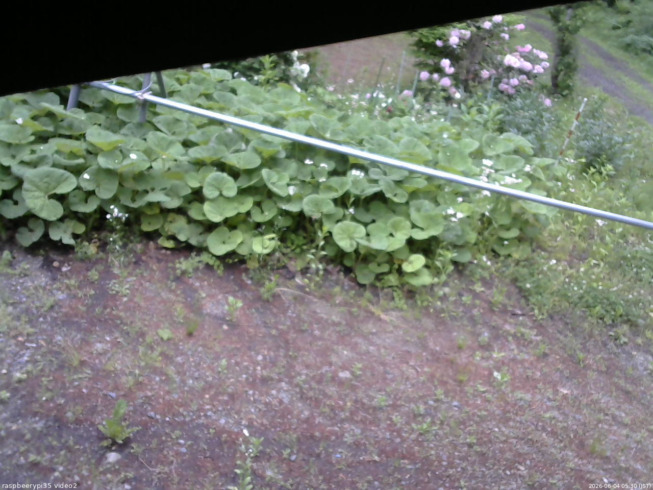 長野県菅平高原 ゆたか山荘 駐車場 2026/06/04 05:30