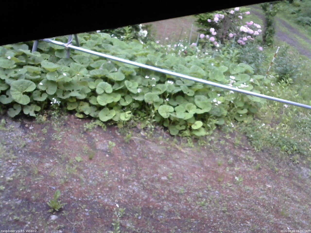 長野県菅平高原 ゆたか山荘 駐車場 2026/06/04 06:00