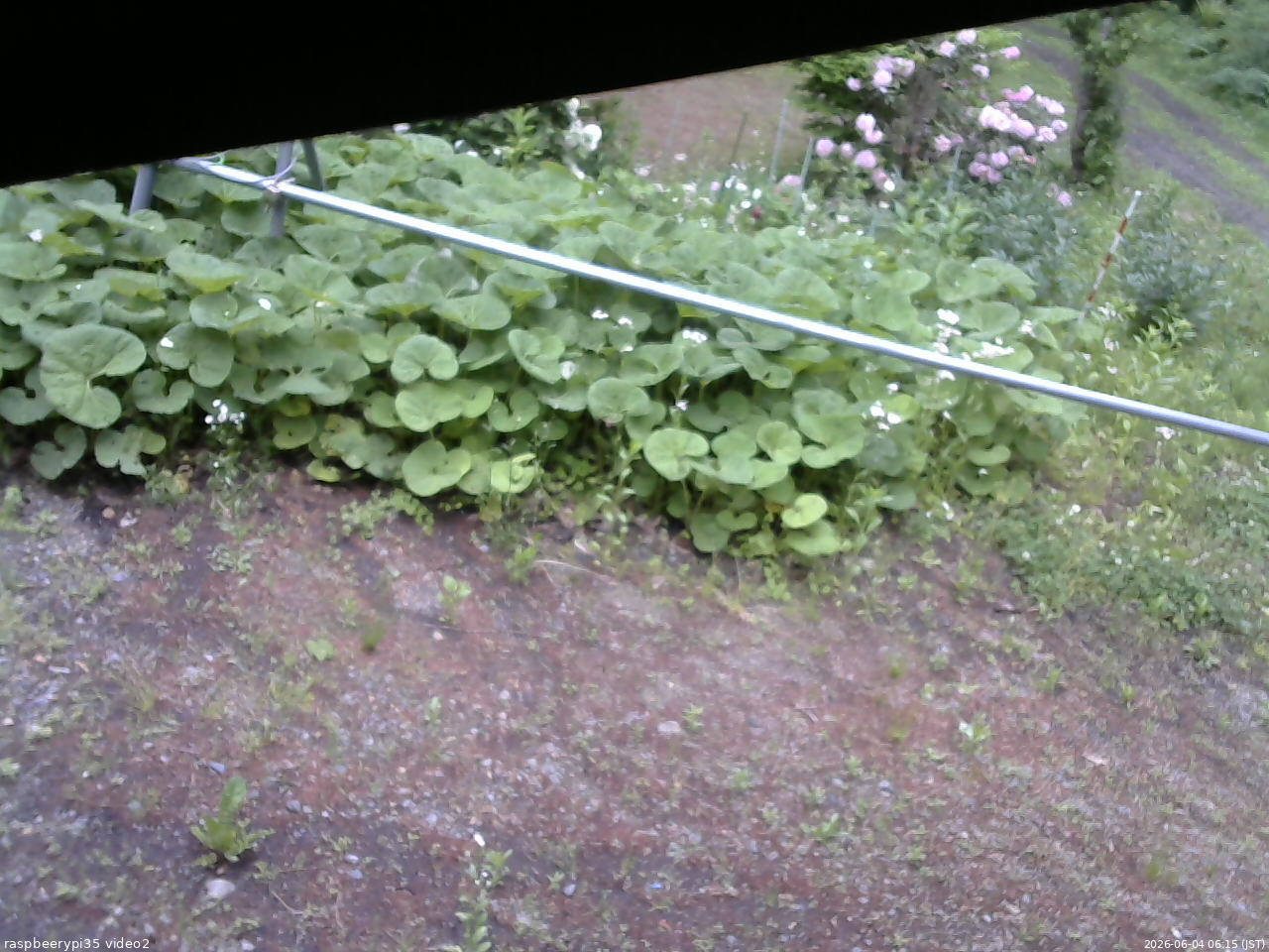 長野県菅平高原 ゆたか山荘 駐車場 2026/06/04 06:15