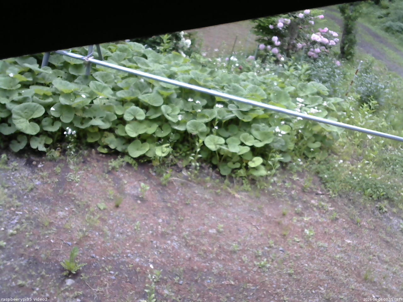 長野県菅平高原 ゆたか山荘 駐車場 2026/06/04 07:15