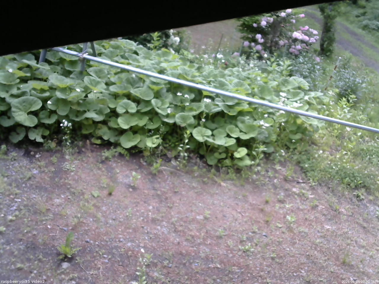 長野県菅平高原 ゆたか山荘 駐車場 2026/06/04 07:30