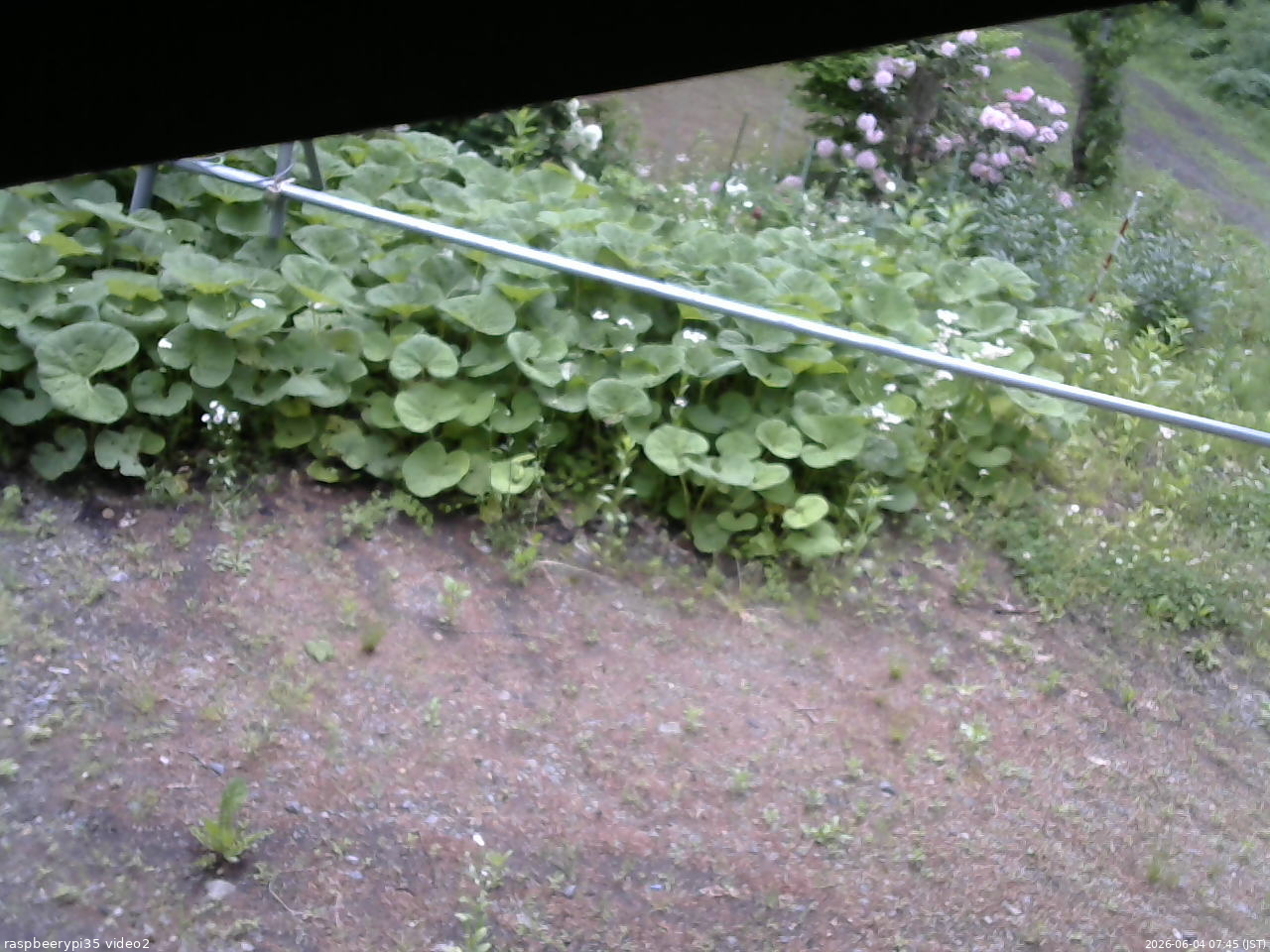 長野県菅平高原 ゆたか山荘 駐車場 2026/06/04 07:45