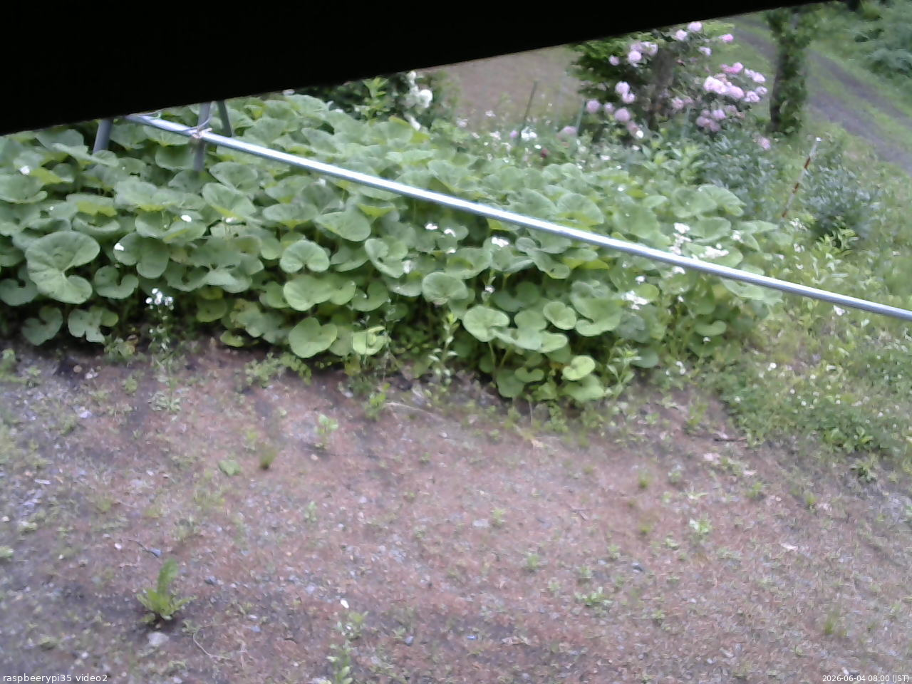 長野県菅平高原 ゆたか山荘 駐車場 2026/06/04 08:00
