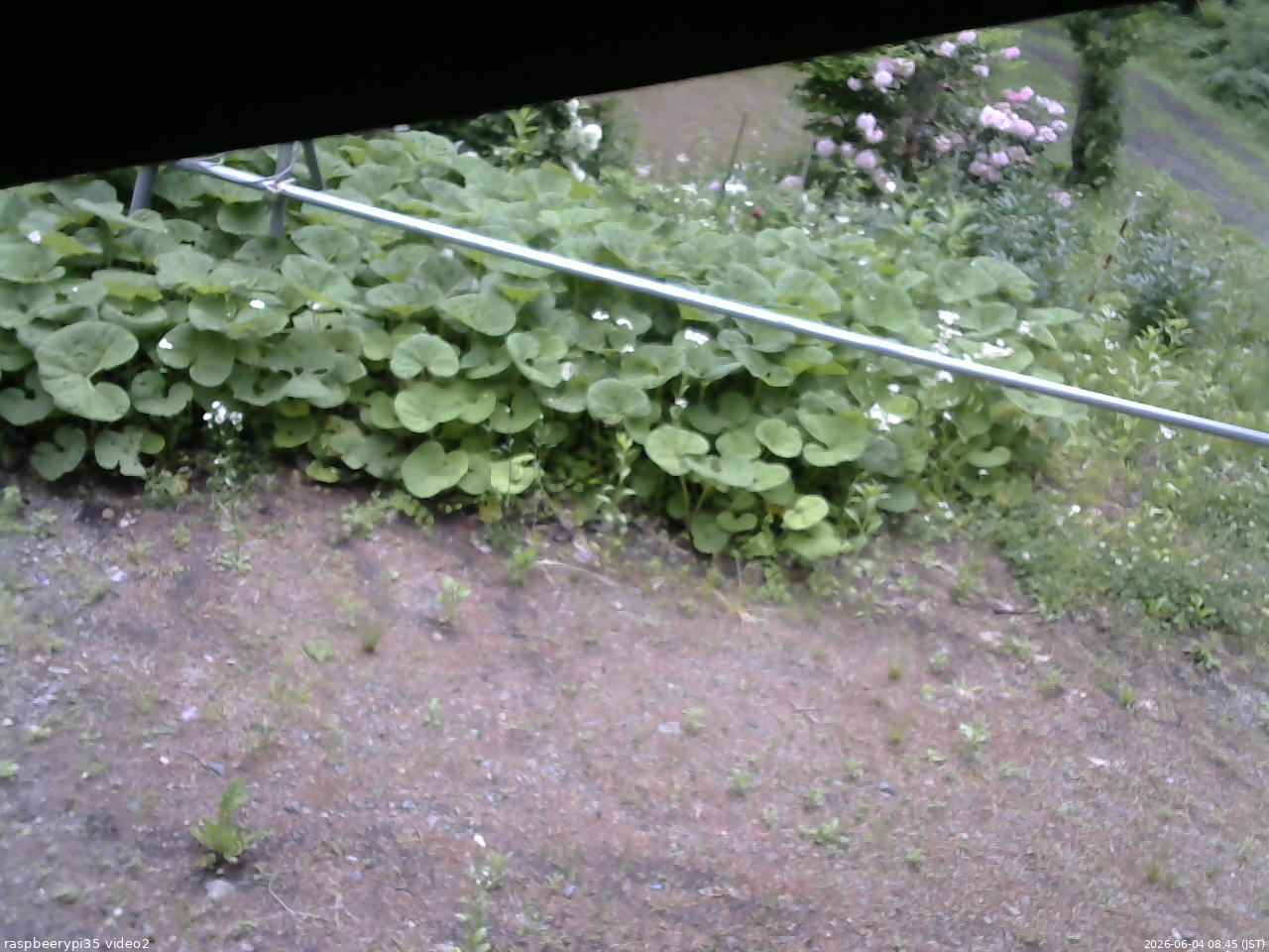 長野県菅平高原 ゆたか山荘 駐車場 2026/06/04 08:45
