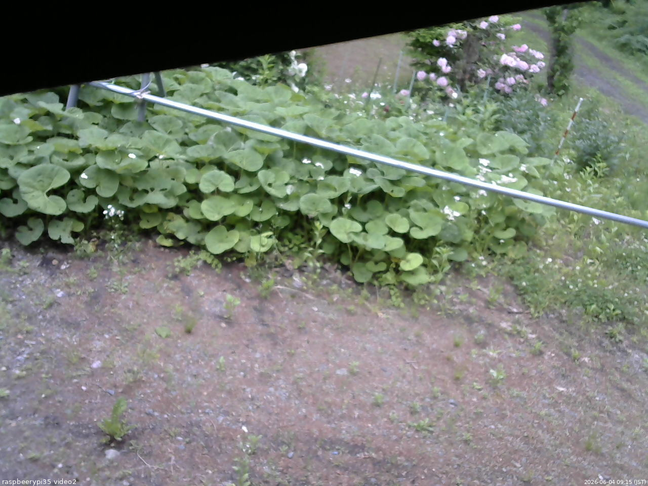 長野県菅平高原 ゆたか山荘 駐車場 2026/06/04 09:15