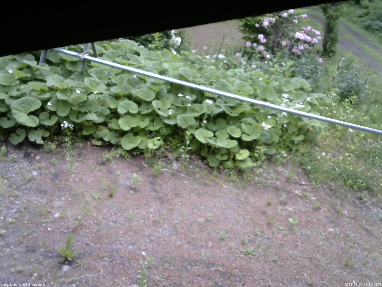 長野県菅平高原 ゆたか山荘 駐車場 2026/06/04 09:30