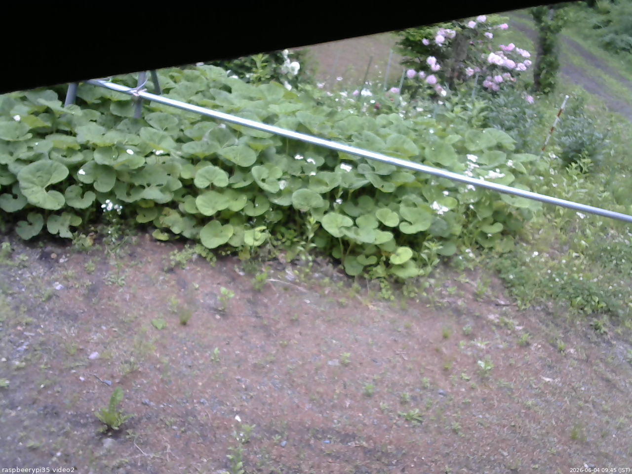 長野県菅平高原 ゆたか山荘 駐車場 2026/06/04 09:45