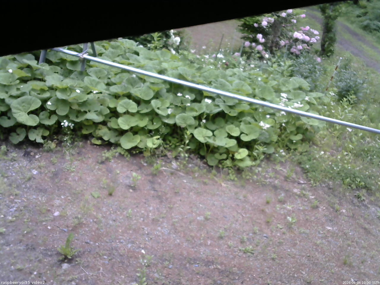 長野県菅平高原 ゆたか山荘 駐車場 2026/06/04 10:00