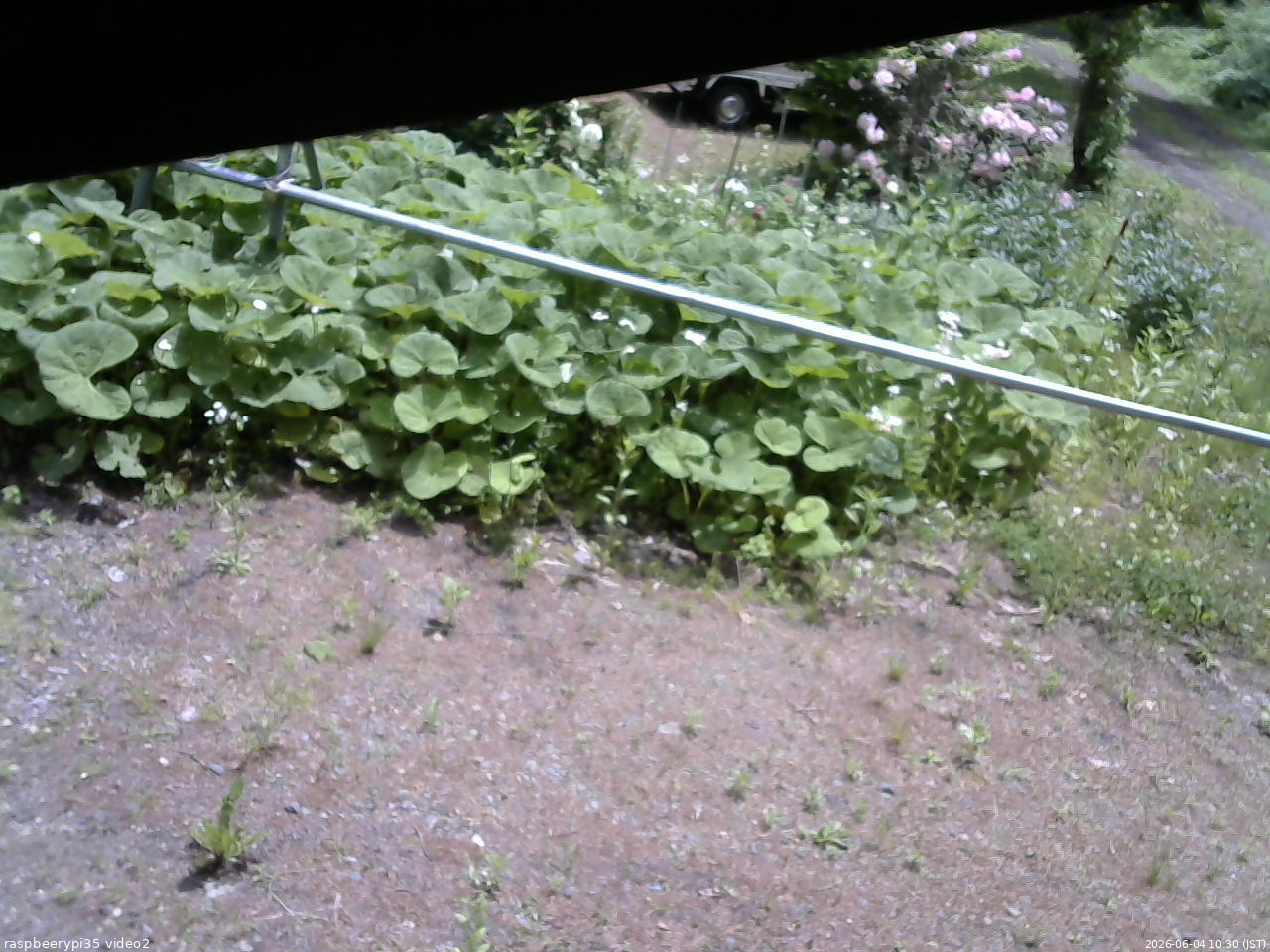 長野県菅平高原 ゆたか山荘 駐車場 2026/06/04 10:30
