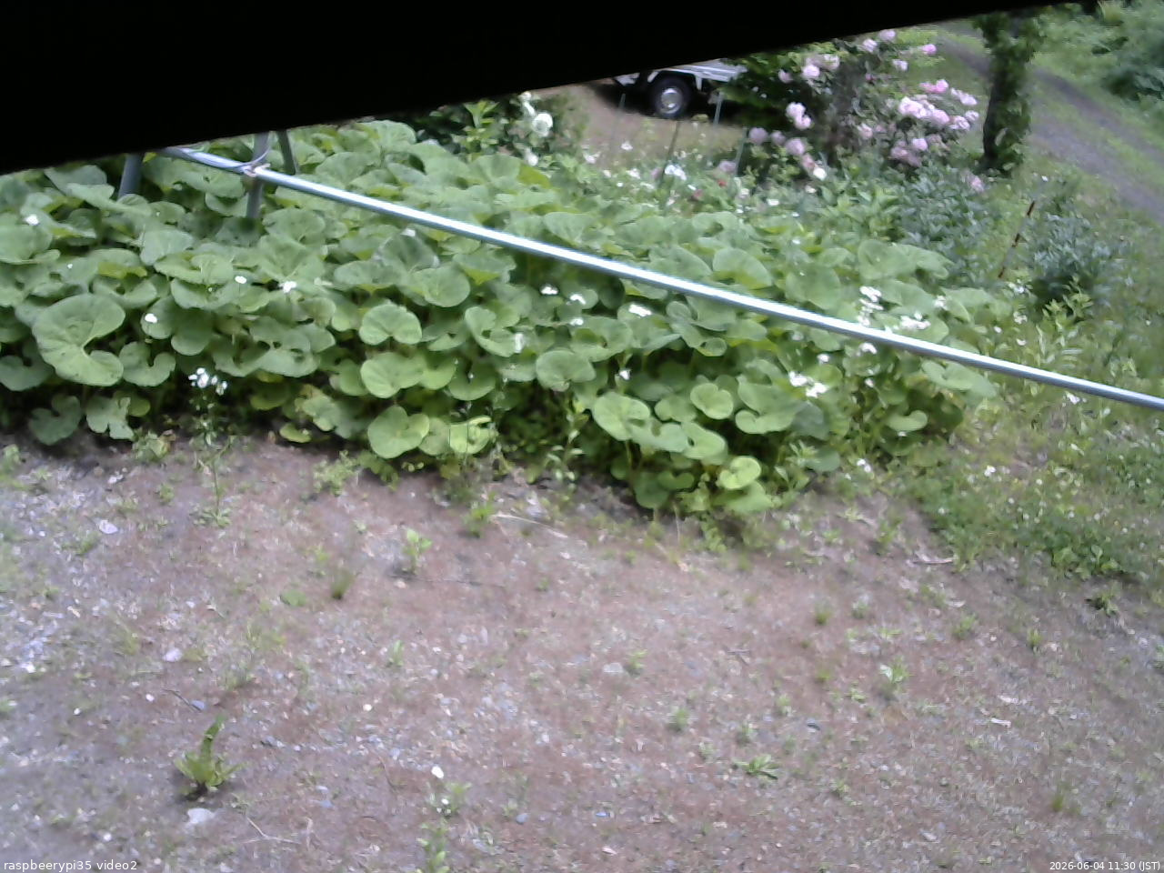 長野県菅平高原 ゆたか山荘 駐車場 2026/06/04 11:30