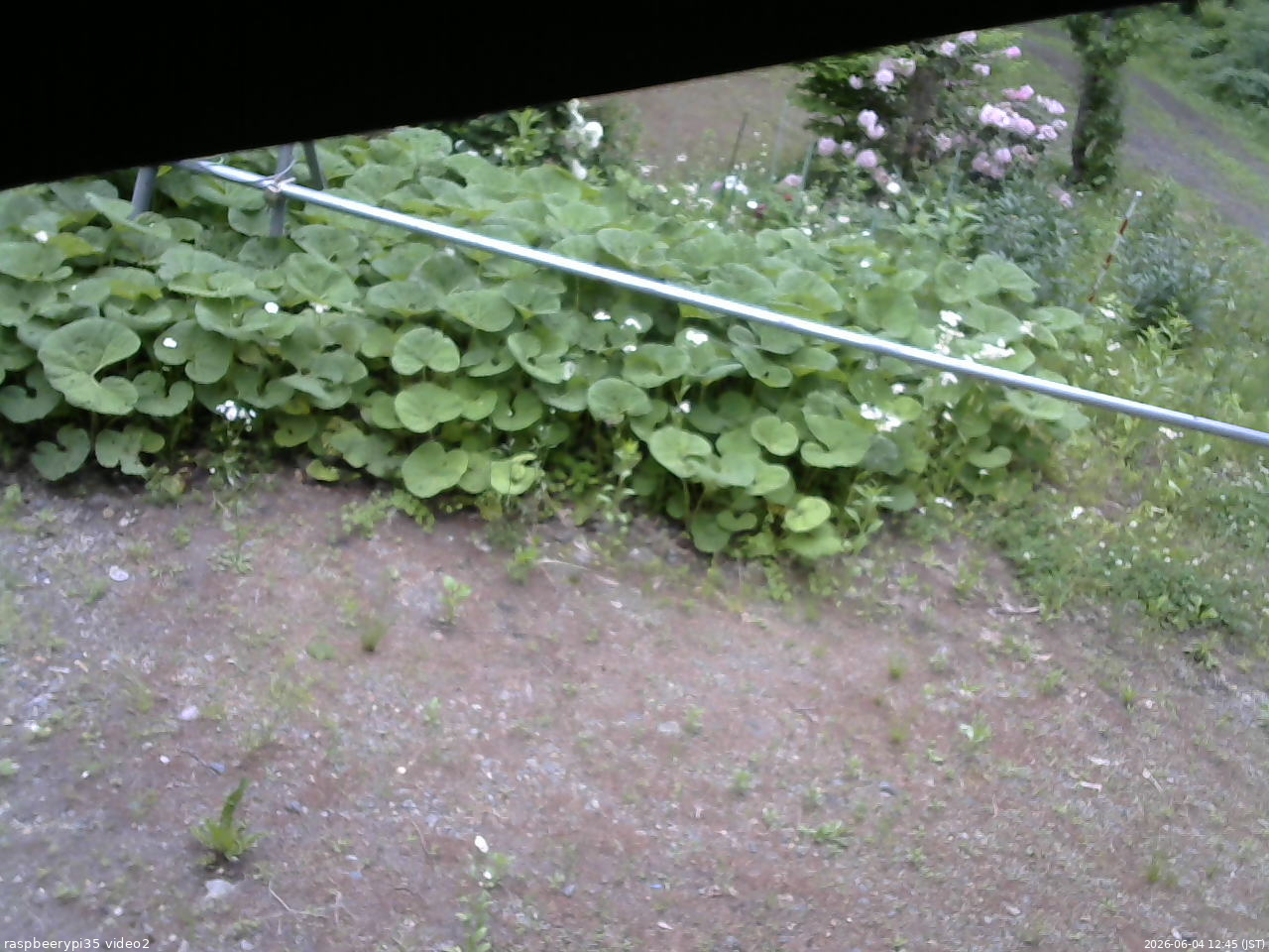 長野県菅平高原 ゆたか山荘 駐車場 2026/06/04 12:45