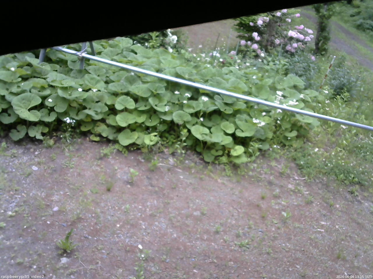 長野県菅平高原 ゆたか山荘 駐車場 2026/06/04 13:15