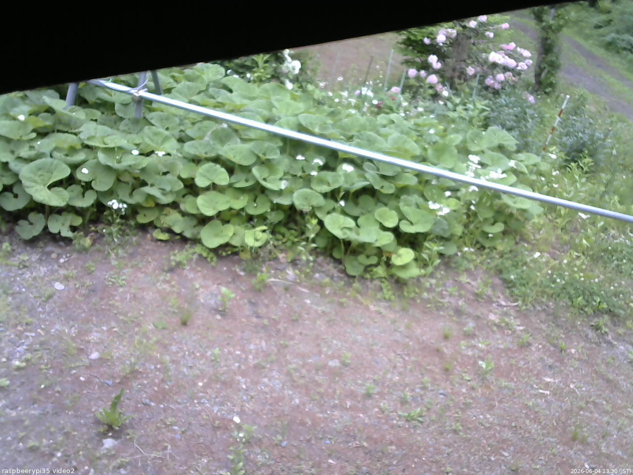長野県菅平高原 ゆたか山荘 駐車場 2026/06/04 13:30
