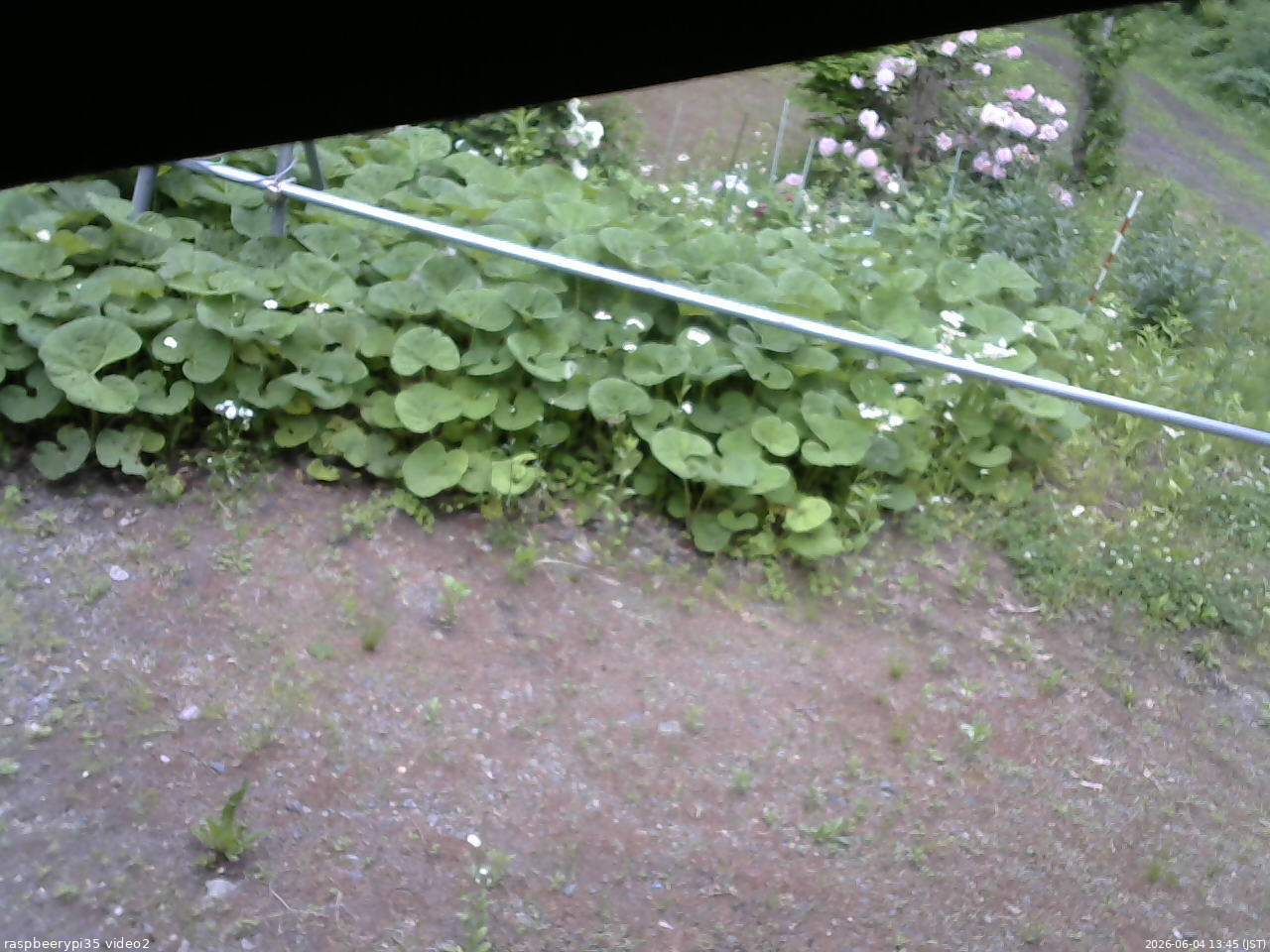 長野県菅平高原 ゆたか山荘 駐車場 2026/06/04 13:45