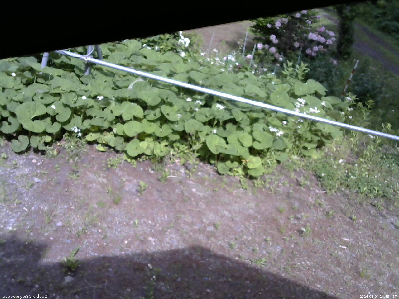 長野県菅平高原 ゆたか山荘 駐車場 2026/06/04 14:45