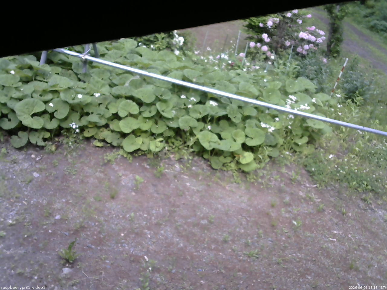 長野県菅平高原 ゆたか山荘 駐車場 2026/06/04 15:15