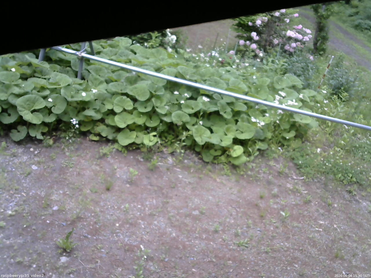 長野県菅平高原 ゆたか山荘 駐車場 2026/06/04 15:30