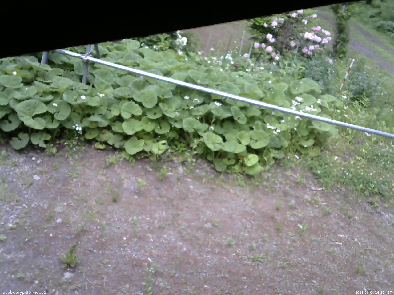 長野県菅平高原 ゆたか山荘 駐車場 2026/06/04 16:30