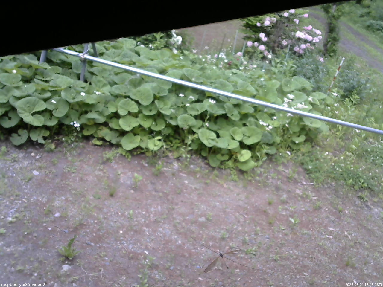 長野県菅平高原 ゆたか山荘 駐車場 2026/06/04 16:45