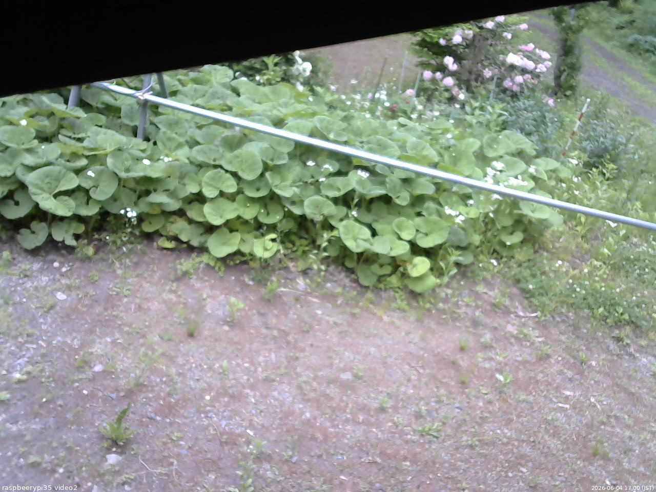 長野県菅平高原 ゆたか山荘 駐車場 2026/06/04 17:00