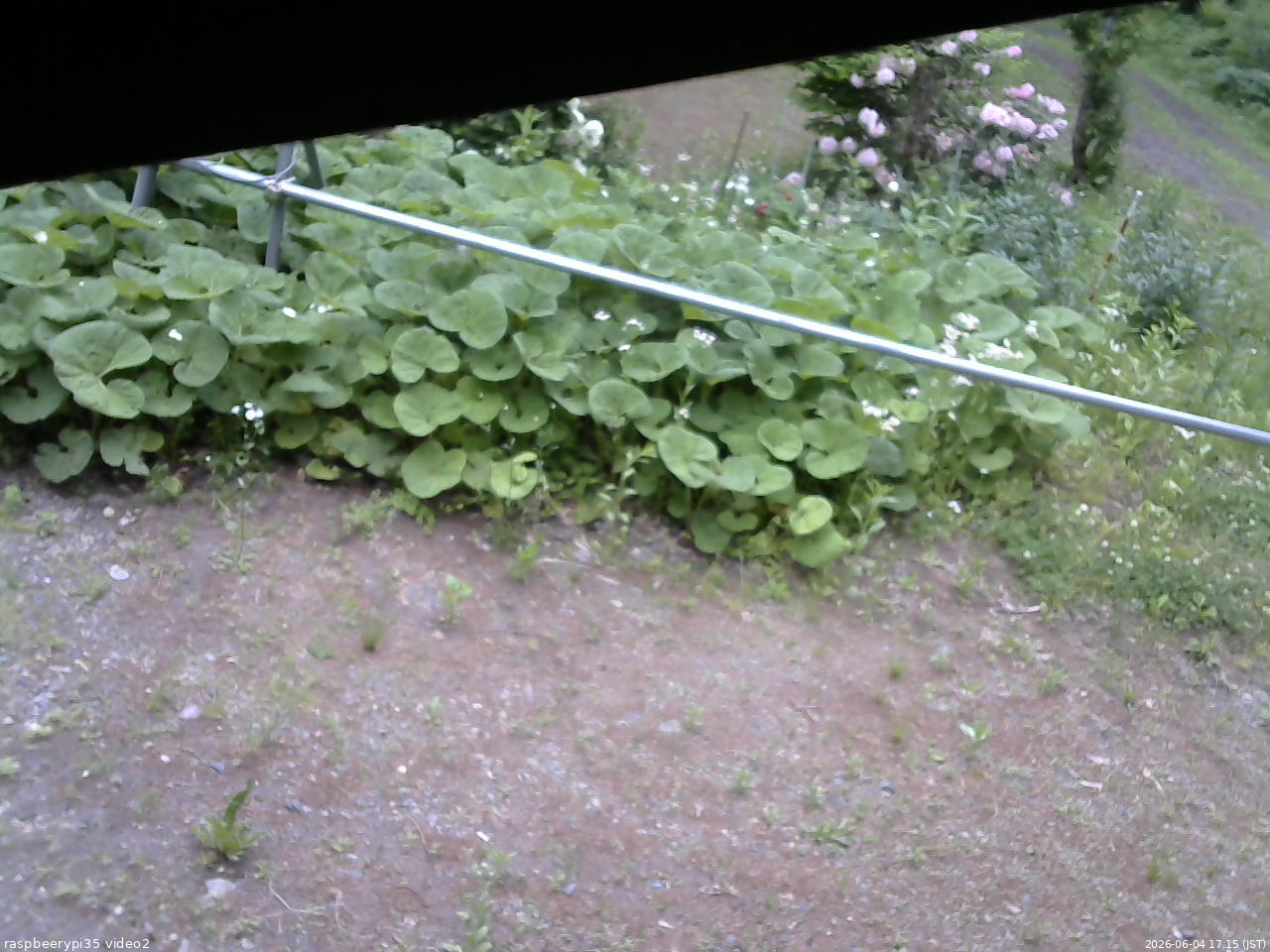 長野県菅平高原 ゆたか山荘 駐車場 2026/06/04 17:15