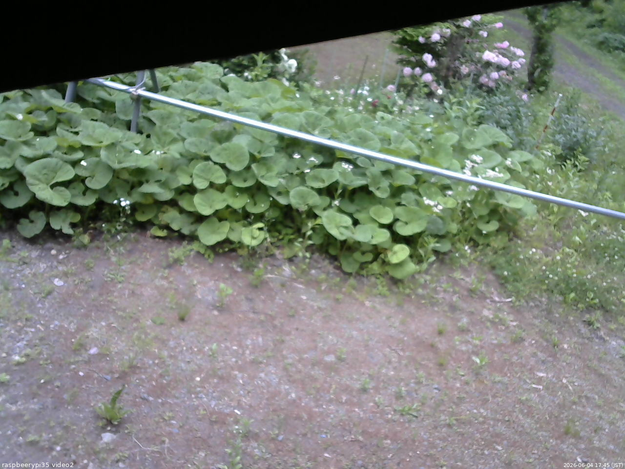 長野県菅平高原 ゆたか山荘 駐車場 2026/06/04 17:45