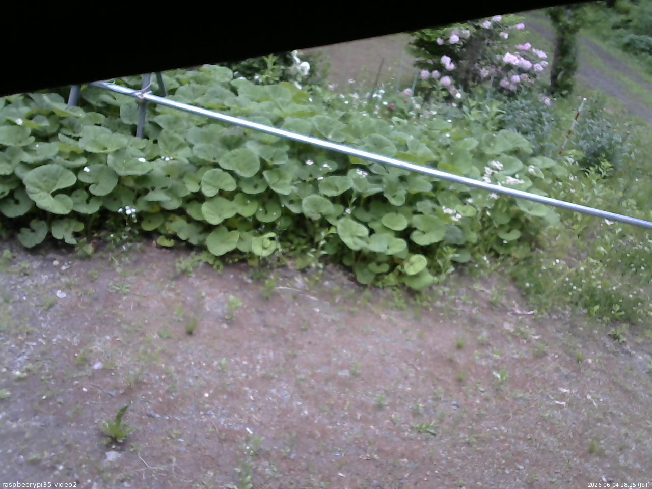 長野県菅平高原 ゆたか山荘 駐車場 2026/06/04 18:15