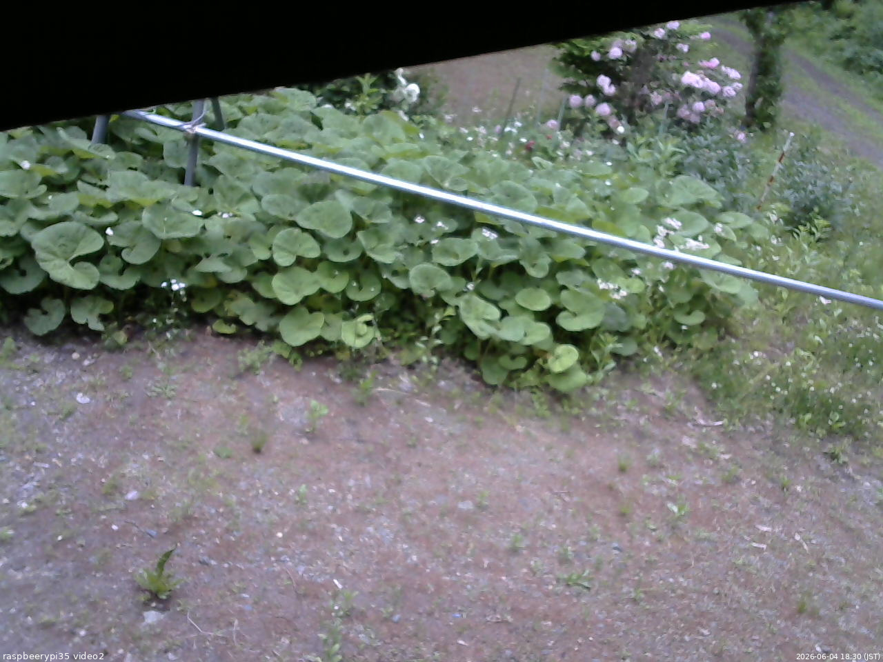 長野県菅平高原 ゆたか山荘 駐車場 2026/06/04 18:30