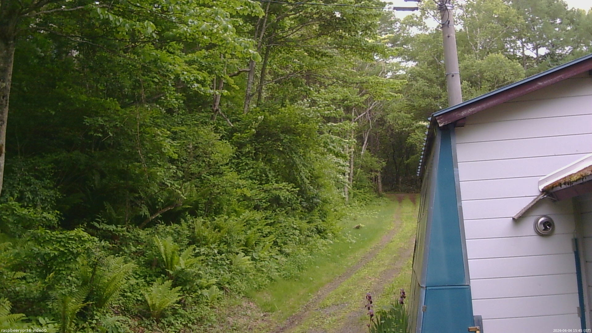 長野県菅平高原 ゆたか山荘 ゆたか山荘 2026/06/04 15:45